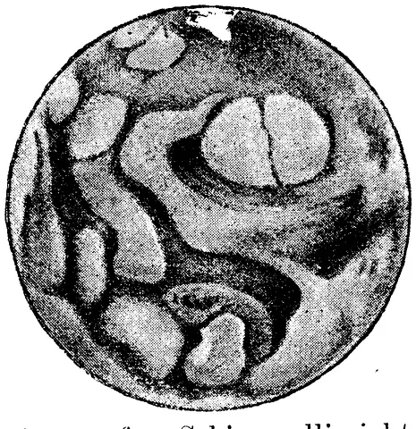 Illustration, sida 151