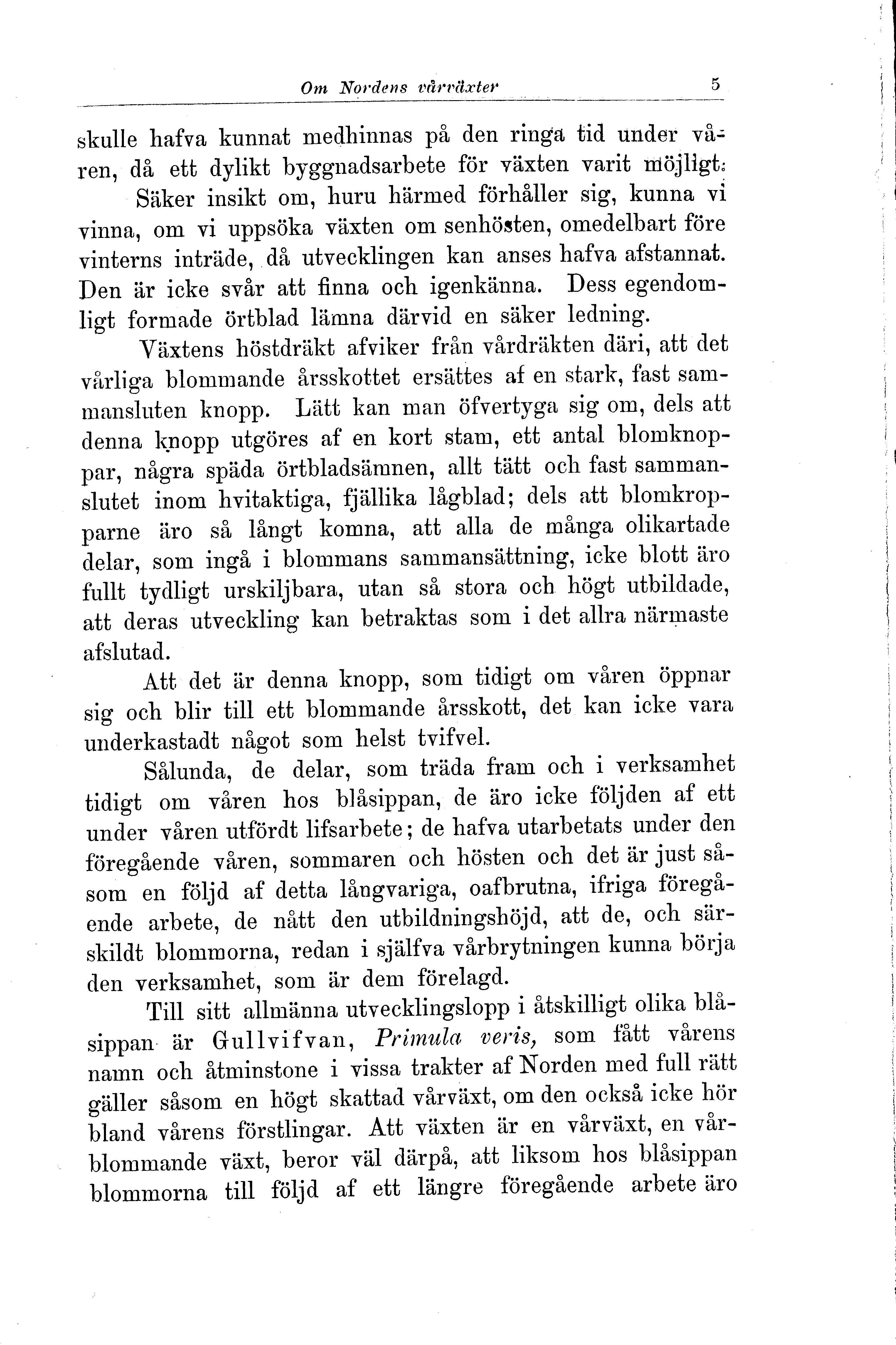 Skannad sida 11