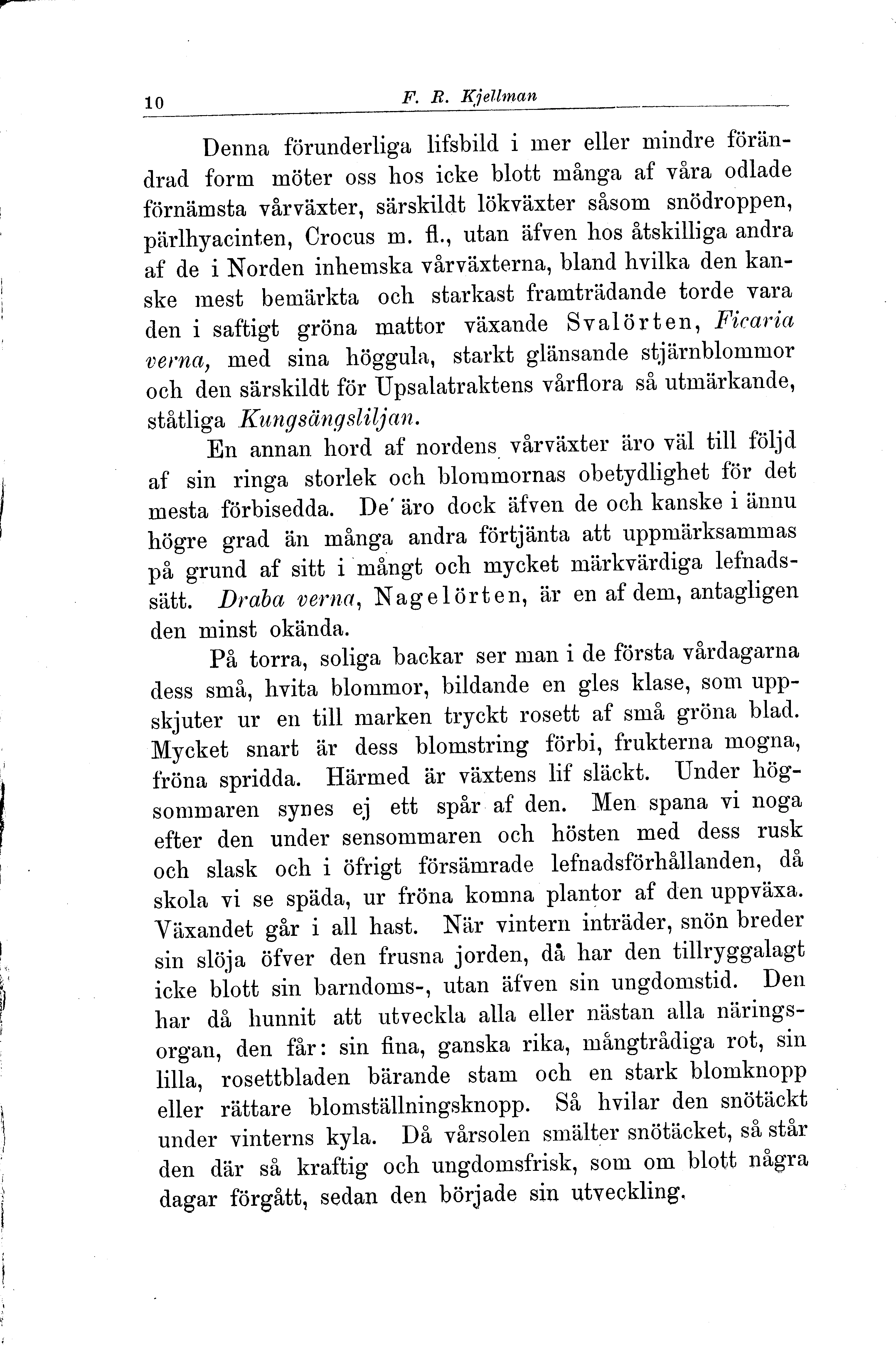 Skannad sida 16