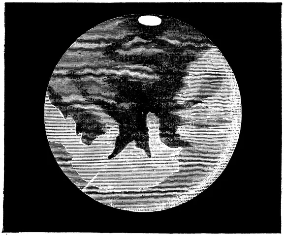 Illustration ur Färd genom verldsrymden (1879), sida 124