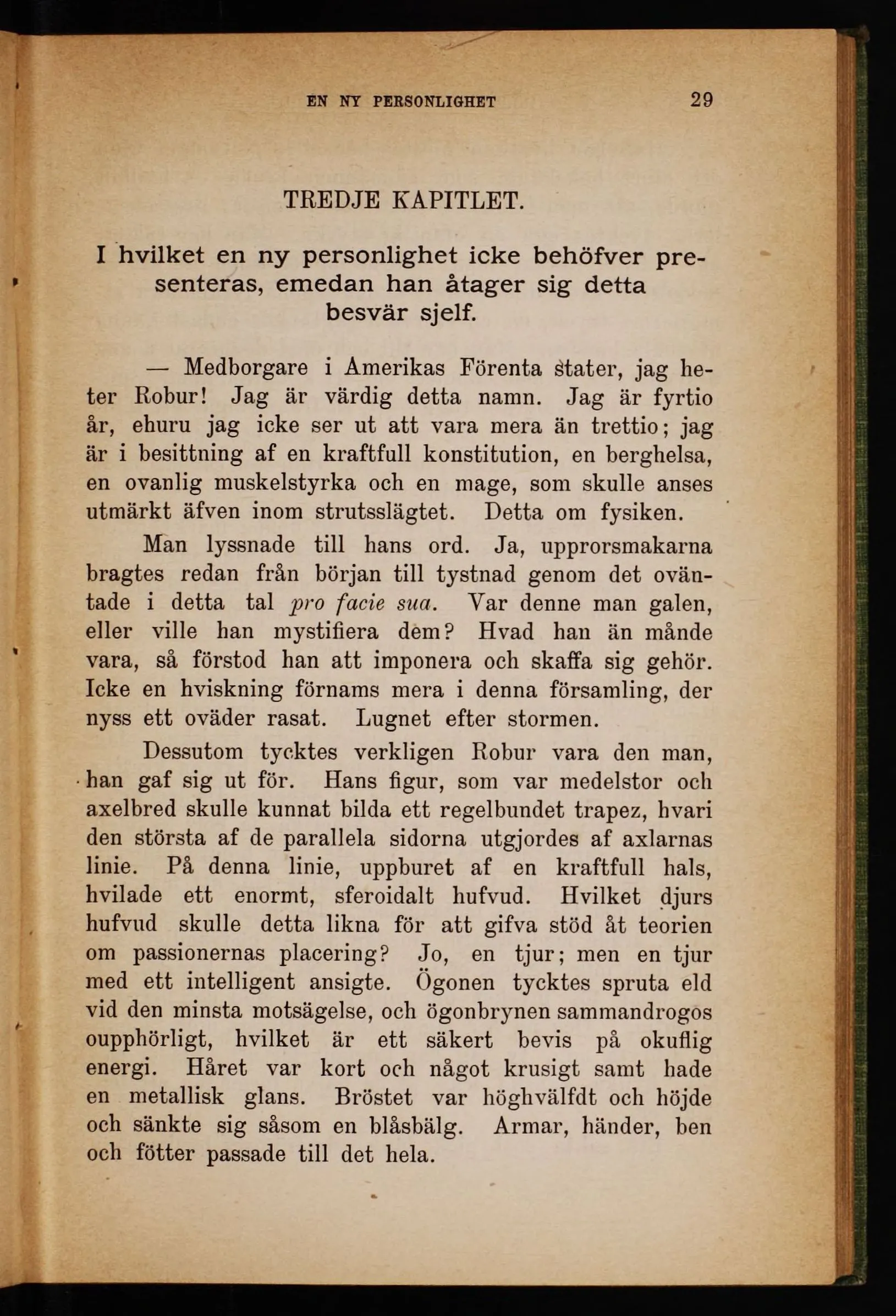 Skannad sida 33