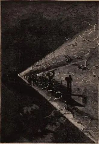 Illustration ur Ingenjör Roburs luftfärd (1894), sida 168