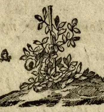 Illustration, sida iii