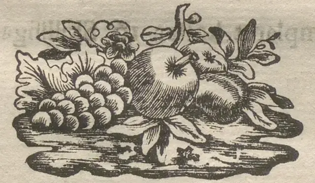 Illustration ur Wecko-Skrift för Läkare och Naturforskare. Allmänt register öfver de första tolf banden (1798), sida 146