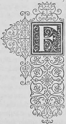 Illustration, sida 299