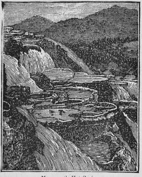 Illustration, sida 460