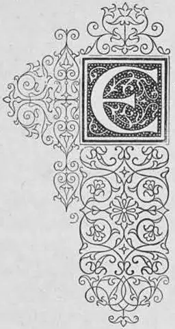 Illustration, sida 487