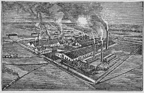 Illustration, sida 491