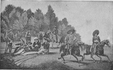 Illustration, sida 539