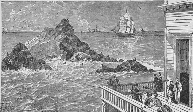 Illustration, sida 559