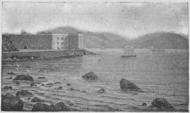 Illustration, sida 567
