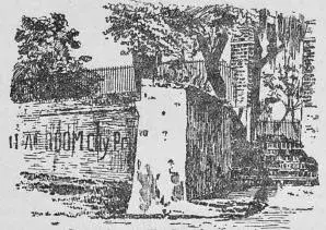 Illustration, sida 730