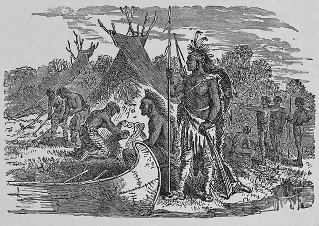 Illustration, sida 796