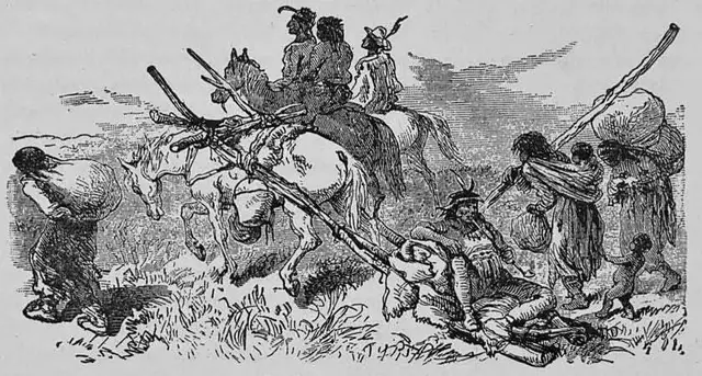 Illustration, sida 799